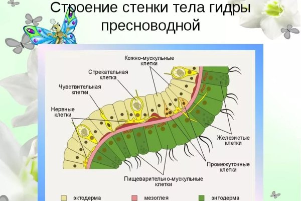 Пользователь не найден при входе на кракен