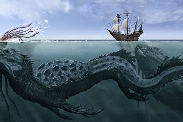 Kraken whitenet store