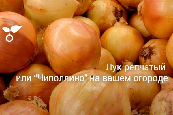 Kraken магазин интернет
