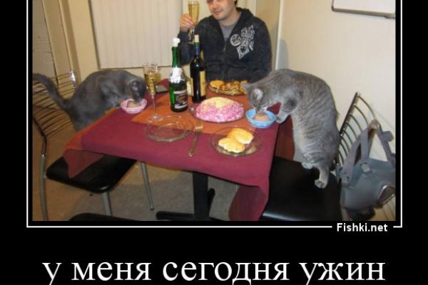 Какая ссылка на кракен