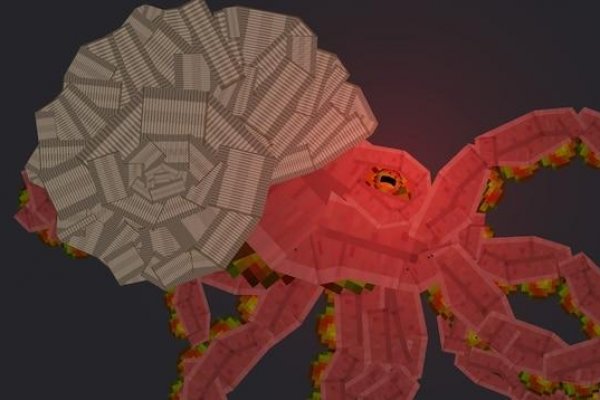 Маркетплейс кракен kraken whitenet top