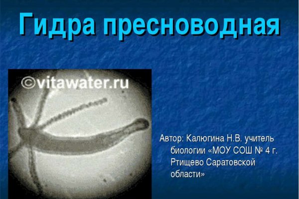Как найти kraken