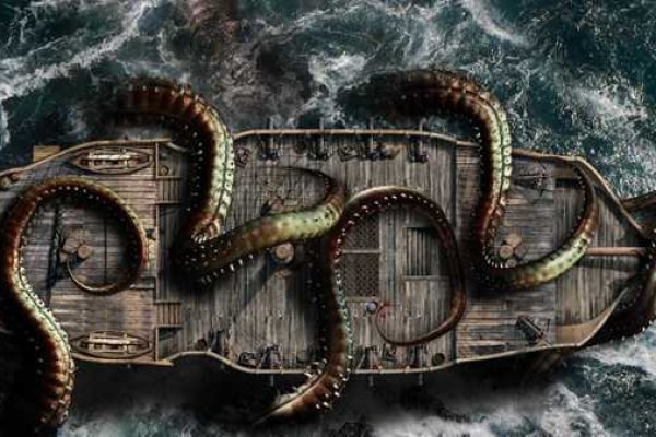 Kraken маркет whitenet только через tor