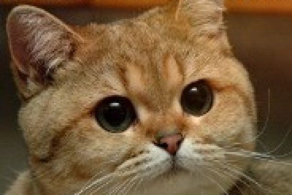 Как купить наркотик в кракен